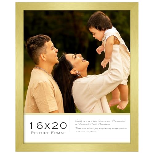 Fisnish 16x20 Picture Frame Classic Gold 16 x 20 Poster Frame for Horizontal or Vertical Wall Mounting 1 Pack