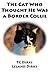The Cat Who Thought He Was a Border Collie