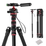 NEEWER BASICS TP08 - Treppiede per fotocamera, 77", compatto e leggero, con testa sferica a 360°, tipo Arca, piastra a sgancio rapido, asse centrale invertito e 2 panni per la pulizia, carico massimo