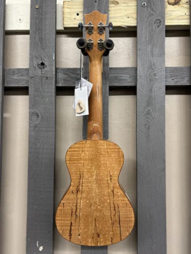 Amahi Spalted Maple Glossy Concert Ukulele #TOP5