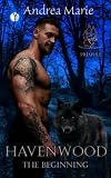 Cover zum Buch Havenwood the Beginning