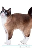 Snowshoe Cat Affirmations Workbook Snowshoe Cat Presents: Positive and Loving Affirmations Workbook. Includes: Mentoring Questions, Guidance, Supporting You.