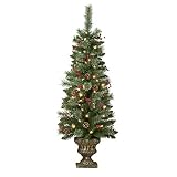 Haute Decor 4 Foot Tall Pre-lit Carolina Potted Christmas Tree for Front Porch with 80 Soft White LED Lights on Auto Timer, Berries, Real Pinecones and Sturdy Planter - Small Potted Christmas Tree
