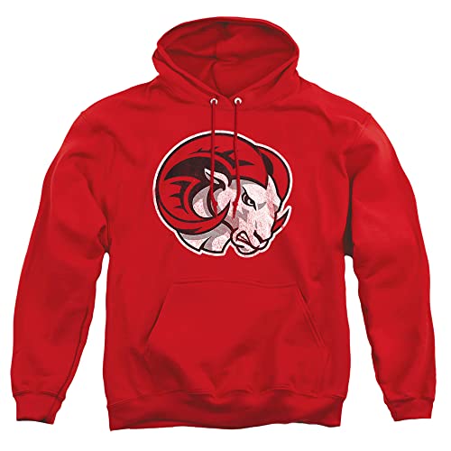 LOGOVISION Official Collegiate Distressed Primary Logo Adult Pullover Hoodie Collection