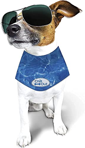 All For Paws Chill Out Dog Ice Bandana+ Cooling Vest L(Neck 18~23Inch) #TOP1