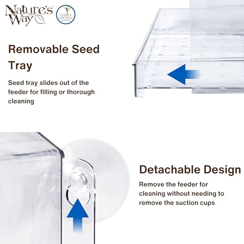 Nature’s Way Crystal Window Seed Feeder with 4 Secure Suction Cup Mount, Clear 2-Cup Capacity Hanging Bird Feeder for Close-Up Viewing, 6.5" by Nature's Way - Image 4