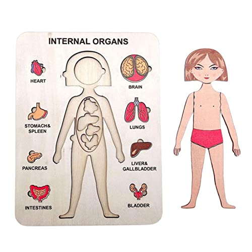 Rompecabezas de madera del cuerpo humano, Rompecabezas de madera del cuerpo humano, Juego preescolar Rompecabezas educativos para niños de 3 a 6 años para aprender las partes del cuerpo humano Teetree Cover