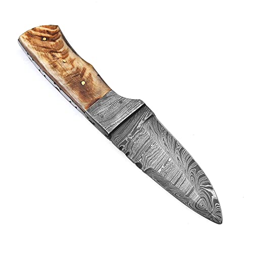 Sharpworld 8 Inches Beautiful Damascus Knife Made Of Remarkable Damascus Steel Ram Handle -Ideal Hunting Knife With Sheath Tj108 #TOP3