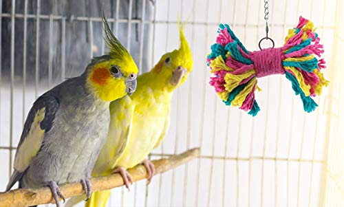 Sweet Feet And Beak Chew Popper Bird Foraging Toy - Toys For Bird Cages - Tough Plastic Pet Toy - Foraging Toys For Parrots, Cockatiels, Lovebirds, Budgies & Other Birds - Bird Accessories (Small) #TOP1