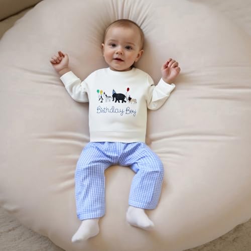 Toddler Baby Boy Birthday Clothes Zoo Animal Birthday Boy Crewneck Sweatshirt and Plaid Pants Set 2Pcs Fall Outfit4