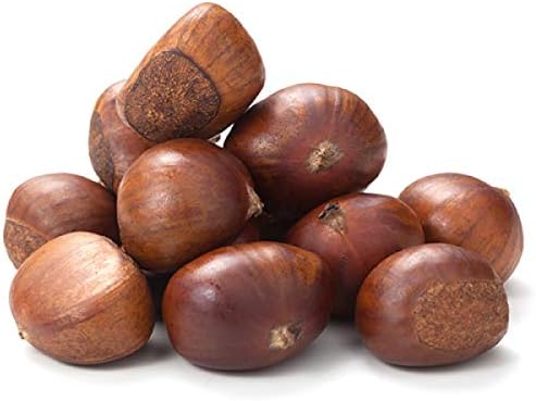 Chinese Chestnut Tree - Live Plant in a 3 Gallon Pot - 3-4 Feet Tall - Castanea Mollissima - Edible Fruit Tree