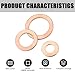 Anyhut 200 PCS Car Crush Washers Kit, 9 Sizes Copper Metric Washers Flat Ring Copper Washers Assortment, Oil Drain Plug Copper Sealing Washers Gasket, Universal for Most Cars (Gold)