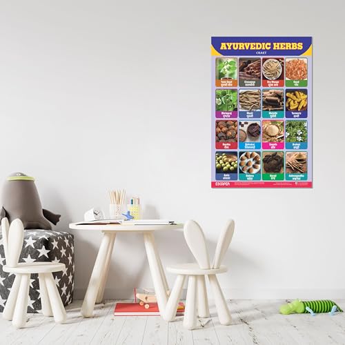 Image of ESCAPER Ayurvedic Herbs Educational Charts for Kids Learning (11.5 x 17.5 inches), Study Material, Learning Books, Posters