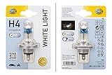 Sockelausführung: P 43 t-38 Hella 8GJ 223 498-128 - Glühlampe, Fernscheinwerfer - Glühlampe, Hauptscheinwerfer - Glühlampe, Nebelscheinwerfer