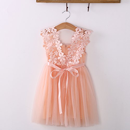 Elegant Feast Baby Girls Princess Lace Flower Tulle Tutu Gown Formal Party Dress (1-2 Years, Pink)
