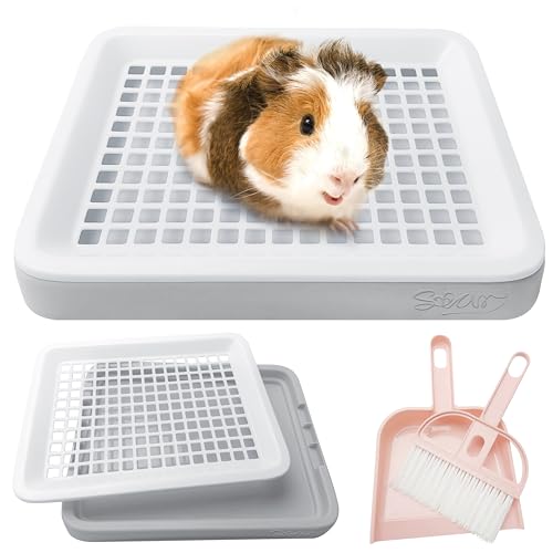 Banheiro de porquinho-da-índia de qualidade estrela, canto de treinamento de penico de animais peque