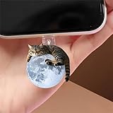 Tabby Cat on Moon Dust Plug Acrylic Charms for electronic products,Type-C Charging Port Dust Plugs Pendant Compatible with E-Reader Phone Tablet, Gift for Christmas, Birthday, Anniversary Day