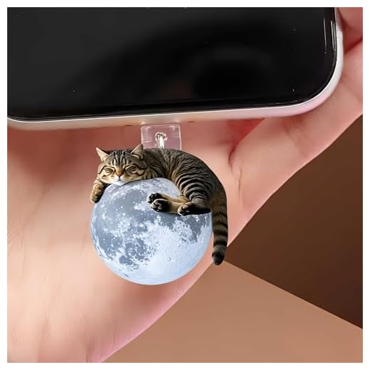 Tabby Cat on Moon Dust Plug Acrylic Charms for electronic products,Type-C Charging Port Dust Plugs Pendant Compatible with E-Reader Phone Tablet, Gift for Christmas, Birthday, Anniversary Day