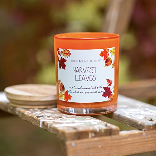Red Leaf Home | Harvest Leaves Candle | Wooden Lid, Large | Fall Favorite, Aromatherapy, Gift | 15Oz Jar #TOP3