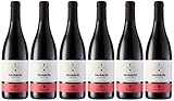 Ternario 1 Vino tinto - 6 botellas x 125 ml - Total: 4500 ml