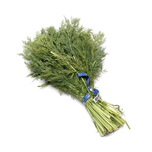 Herb Dill Organic, 0.75 Ounce #TOP2