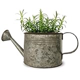 Headwind Countryside Collection - 6 Inch Smoky Grey Galvanized Plant Watering Can for Outdoor & Indoor - Vintage Metal Watering Can Outdoor Planter by Robert Allen