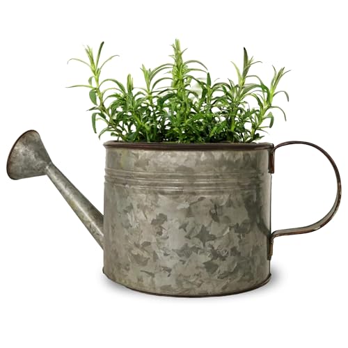 Headwind Countryside Collection - 6 Inch Smoky Grey Galvanized Plant