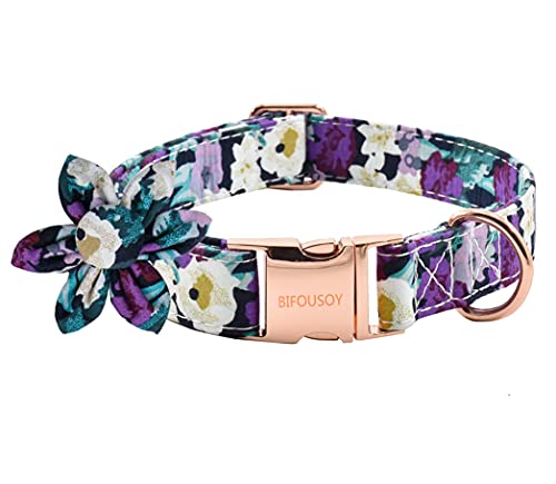 large dog collar with bow