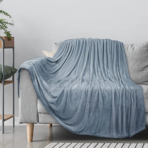 Pavilia Fleece Blanket Throw | Super Soft, Plush, Luxury Flannel Throw | Lightweight Microfiber Blanket For Sofa Couch Bed (Light Blue, 50X60 Inches) #TOP29