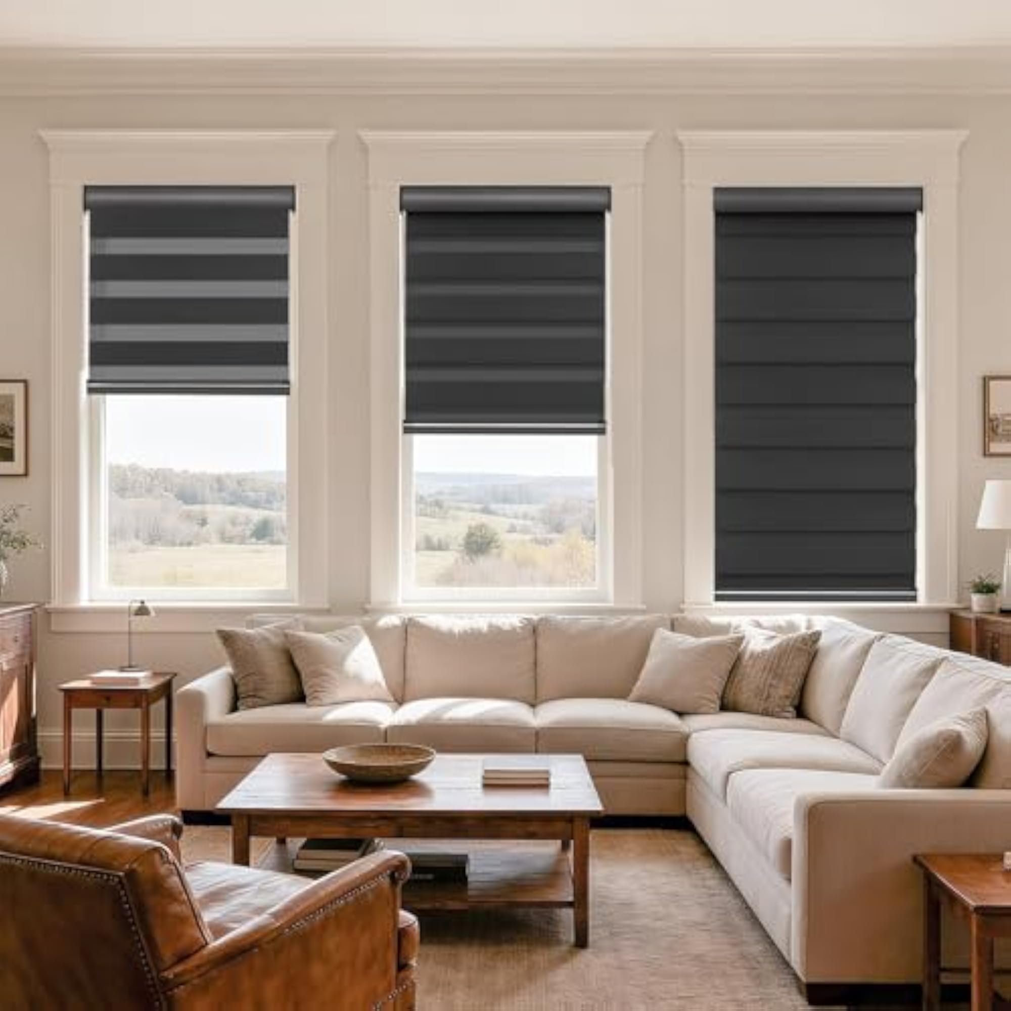Cordless Zebra Blinds with Free-Stop Function