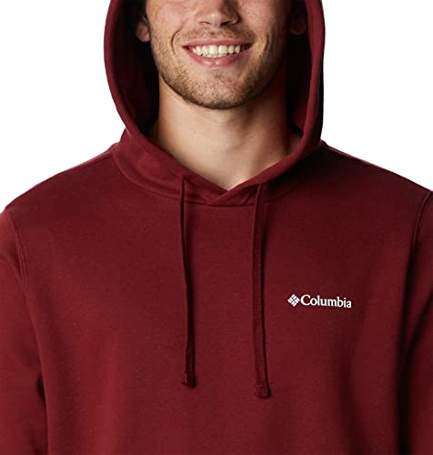 Image of Columbia mens Trek Hoodie