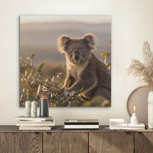 Fieltros Arte Visual MuchoWow 60x60 cm para Dormitorio Moderno con Diseño de Koala 2