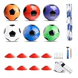 Fykage 6 Pack Soccer Balls Size 5 Bulk Set – Massive 23-Piece Kit Includes 8 Cones, Whistle, Pump & Mesh Bag – Durable & Soft Training Balls for Youth Team, Practice, Gift & Charity Donation