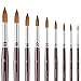 Sable Watercolor Brushes 9pcs Professional Superior Kolinsky Watercolor Paint Brushes for Artists Round Pointed Oval Wash for Watercolor Acrylics Gouache Inks Painting
