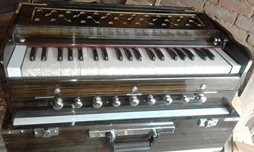 Naad Ns-221 Indian Calcutta Portable Harmonium Standard 3 1/2 Octave Double 2 Reed Set #TOP16
