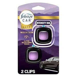 Febreze Car Mountain Scent Air Fres...