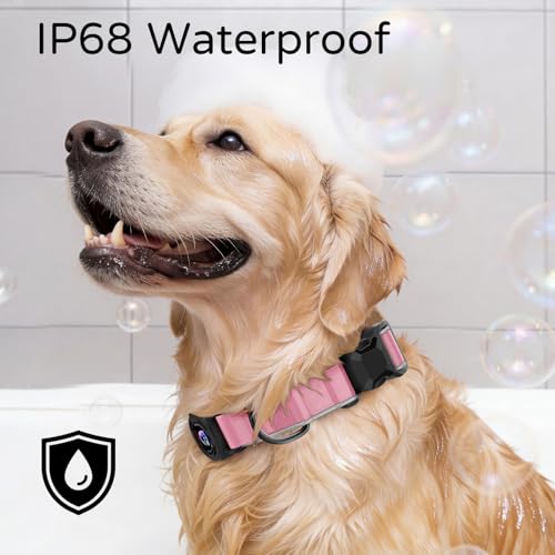 Airtag Dog Collar, Dog Collar with airtag Holder, IP68 Waterproof Leather Dog Collar with Metal Buckle & Lockable Airtag Holder, Heavy Duty Adjustable for Small Medium Large Dogs (Pink L) by ILFINDYOU - Used condition - Image 2