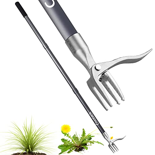 Weed Remover Tool The 15 best products compared