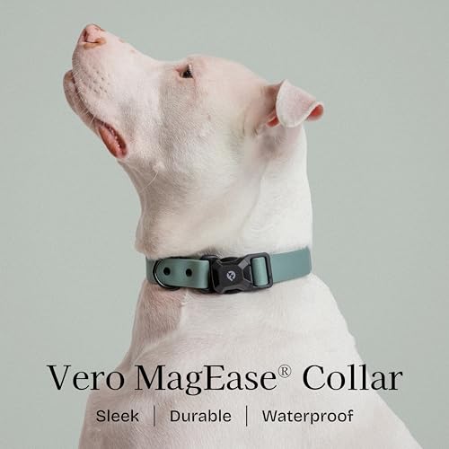 Fei and Eve VERO Series – MagEase Magnetic Dog Collar, Waterproof PVC, Odor Resistant, Easy-Clean, 450LB Tested Strength, Adjustable Sizing, Glacier Green Medium by Fei and Eve - Image 2