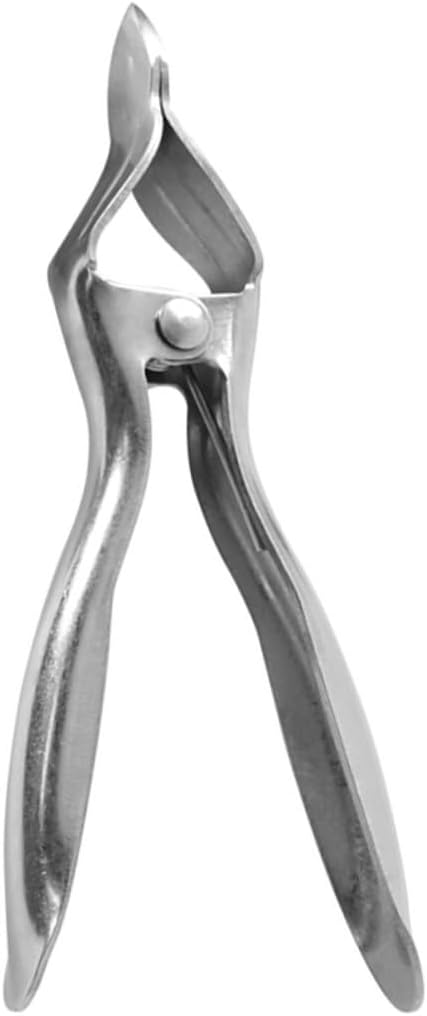 Sosoport 2pcs Stainless Steel Opener Tool Easy Use Fruit Shell Opener Compact Design for Kitchen Use for Effortless Enjoyment
