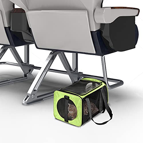 https://m.media-amazon.com/images/I/41oNO5uQjsS._SL500_.jpg