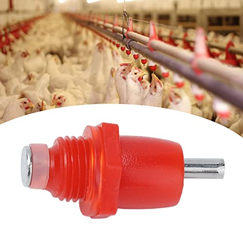 Bico de água de frango automático, bebedouro de aves 100 unidades para fazenda para cooperativa