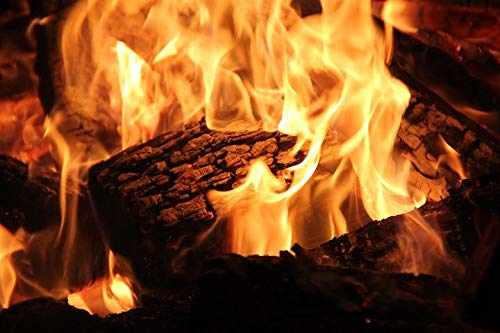 Kaminholz Landree Buche Brennholz 20 kg – Trockenes Feuerholz