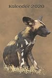 Kalender 2020: Jahreskalender 2020 mit afrikanischem Wildhund - 1 Woche auf 2 Seiten in Farbe | DIN A5 linert | Softcover