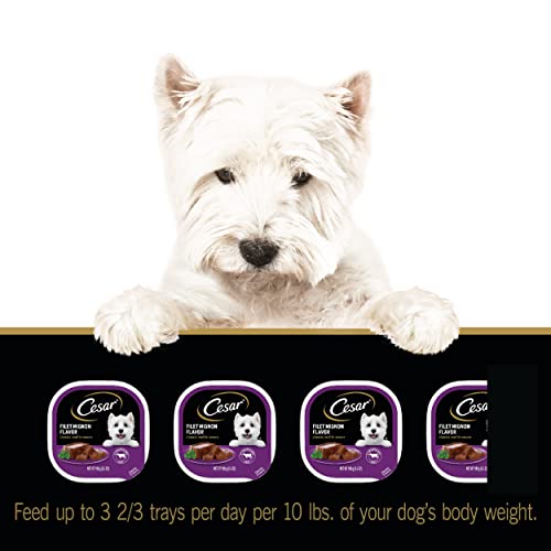 Cesar Soft Wet Dog Food Classic Loaf In Sauce Filet Mignon Flavor, (24) 3.5 Oz. Easy Peel Trays #TOP6