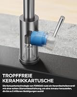 FORIOUS Wasserhahn Küche, Wasserhahn Küche Ausziehbar, 360° Schwenkbar Spiralfeder Spültischarmatur Küche, Einhebel-Warm- und wasserhahn, Edelstahl – Ansicht 6