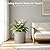 Kante 12.6" Concrete Cylinder Planter, Large Weather Resistant Concrete Planter with Drainage Hole & Rubber Plug, Handcrafted for Indoor Outdoor Plants & Patio Decor, Weathered Concrete Finish