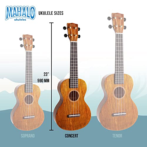 Mahalo Hano Ukulélé Concert Vintage Natural - Les Beatles, Paul McCartney, John Lennon, RIngo Starr, George Harrison Mahalo Hano Ukulélé Concert Vintage Natural – Image 6