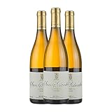Abad San Salvador Godello Bierzo Crianza 75 cl Vino blanco (Caja de 3 Botellas de 75 cl)