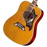 Epiphone/Inspired by Gibson Custom 1963 Dove Reissue Natural エピフォン
